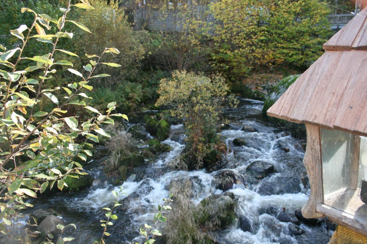 Gaestehaus Zur Lilie Triberg im Schwarzwald Exteriör bild